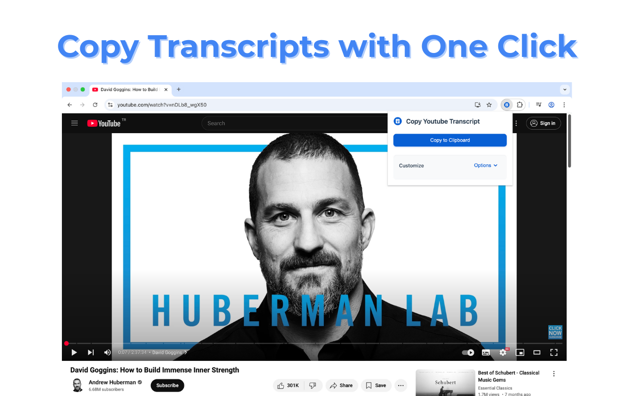 Copy Youtube Transcript thumbnail 3